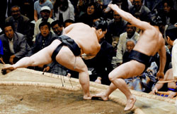 News photo