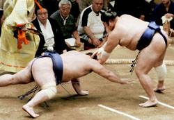 News photo
