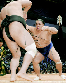 News photo