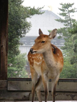 News photo