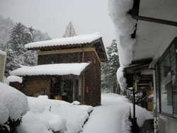 News photo