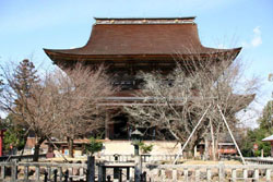 News photo