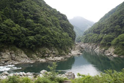News photo