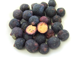 new types of composite food