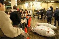News photo