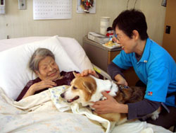 News photo