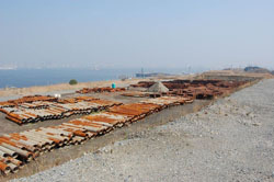News photo