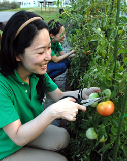 News photo