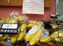 News photo