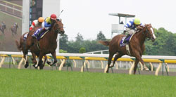 News photo