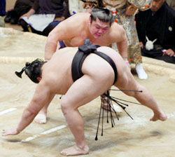News photo