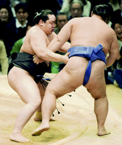 News photo