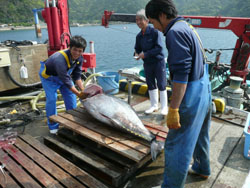 News photo