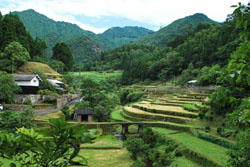 Ikari in the Kumano mountains of Mie Prefecture