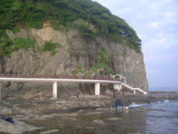 News photo