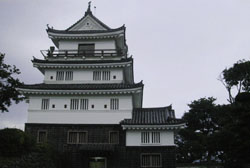 News photo