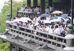 News photo
