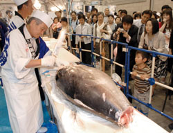 News photo