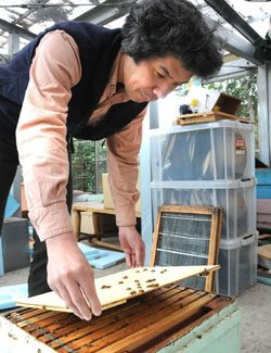 News photo