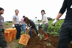 News photo