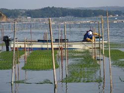 News photo