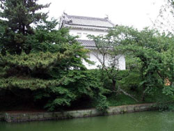 News photo