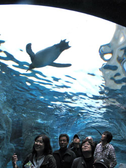 News photo
