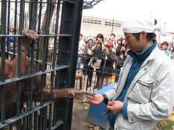 News photo