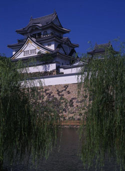 News photo