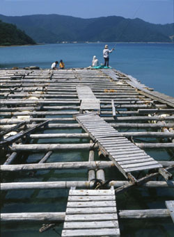 News photo