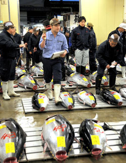 News photo