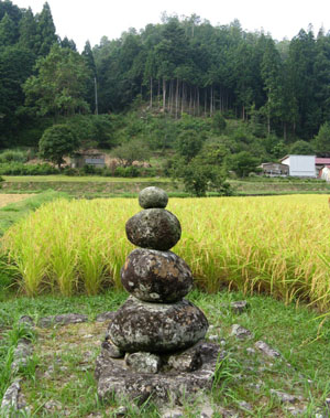 News photo