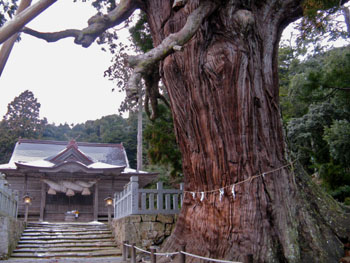 News photo