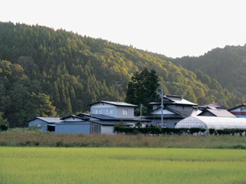 News photo