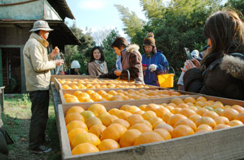 News photo
