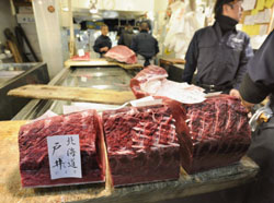 News photo