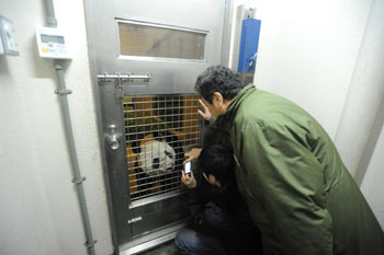 News photo