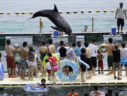 News photo