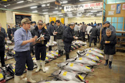 News photo