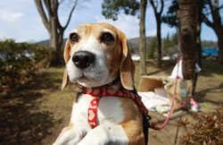 News photo