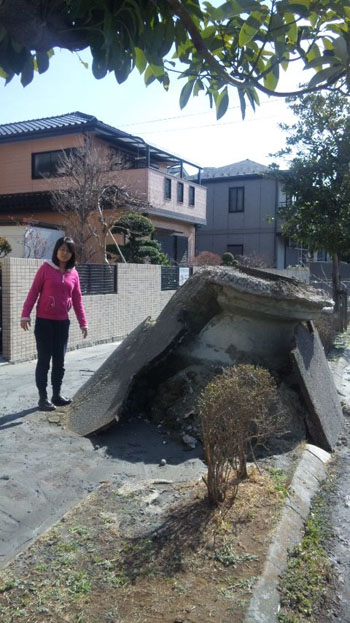 News photo