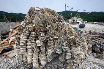 News photo