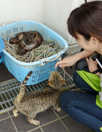News photo