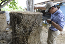 News photo