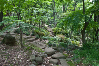 News photo