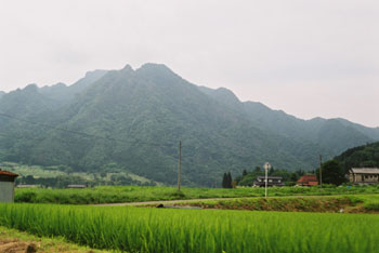 News photo