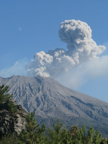 News photo