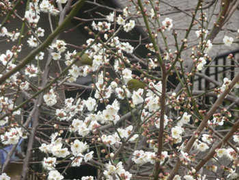 News photo