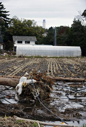 News photo