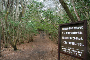 News photo